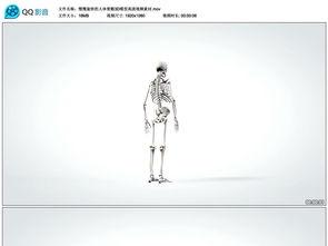 人体模型最新爆料视频,科技与艺术的完美融合  第1张